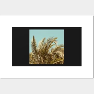 Clearview #2 - Modern Tropical Photograph Posters and Art